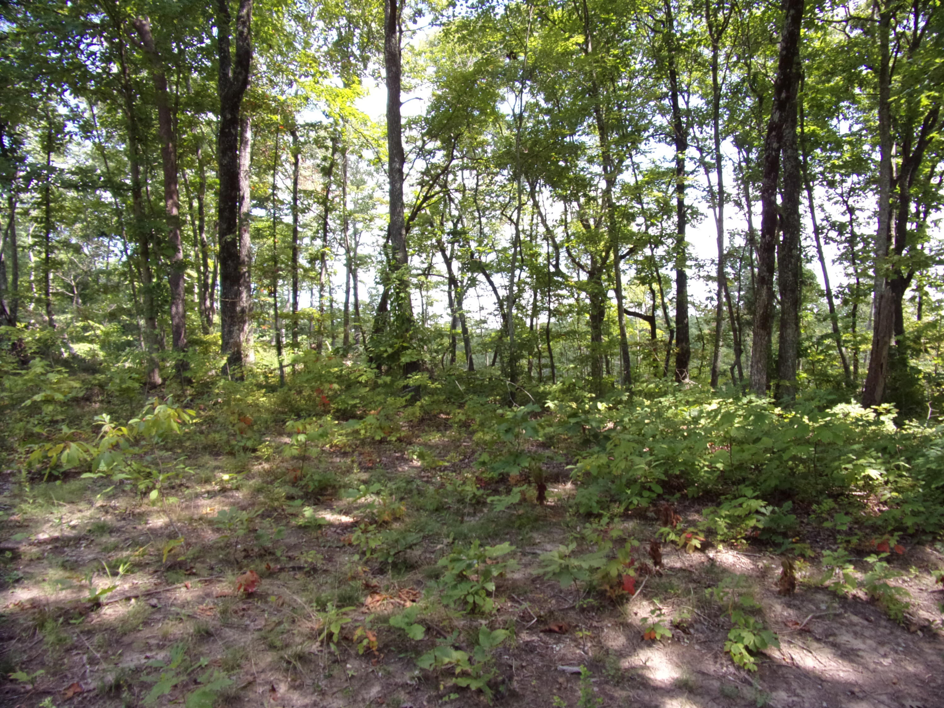 15 Overview Road Crossville, TN 38572 - Photo 37 of 44 101_1520