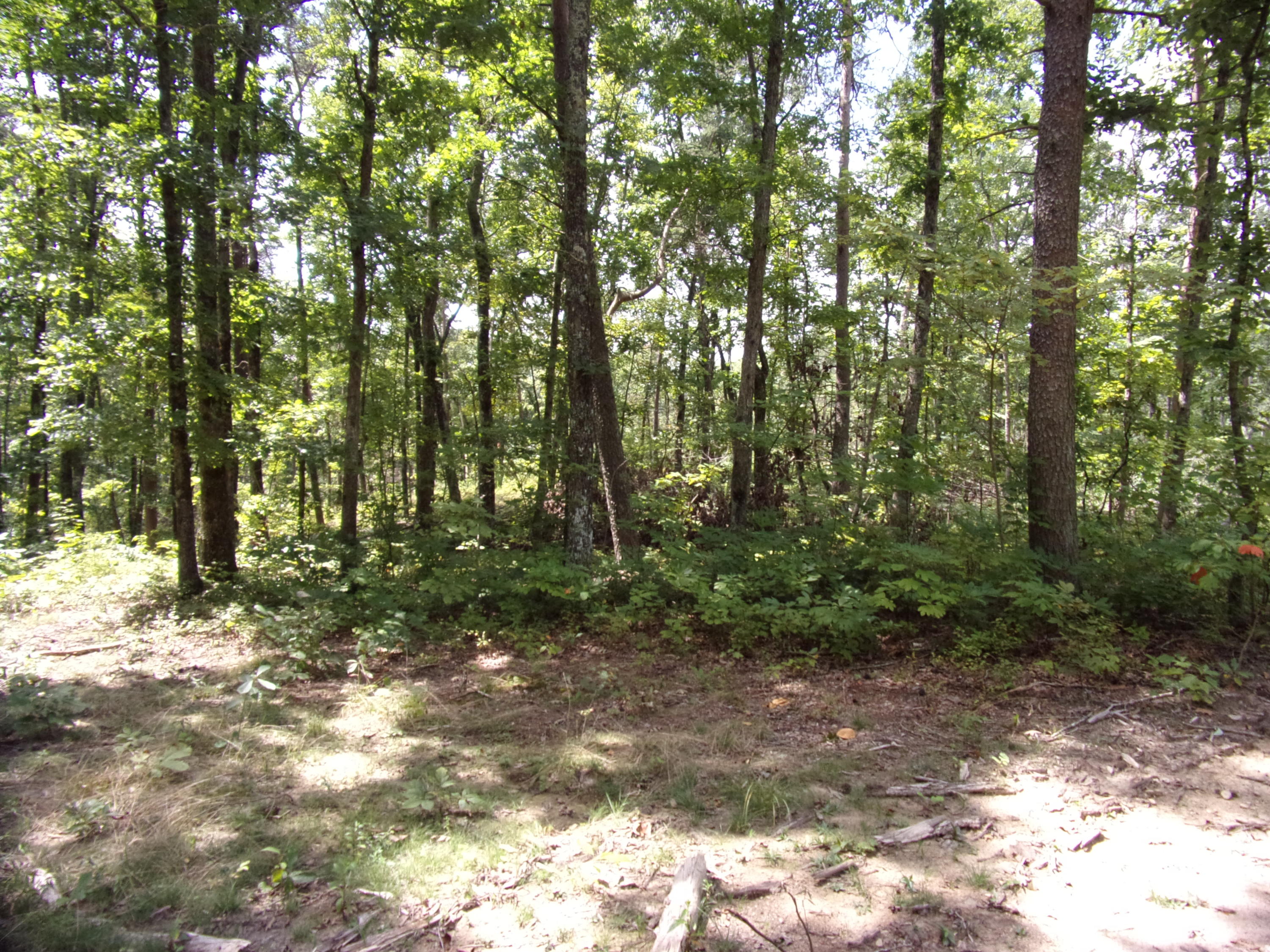 15 Overview Road Crossville, TN 38572 - Photo 38 of 44 101_1521