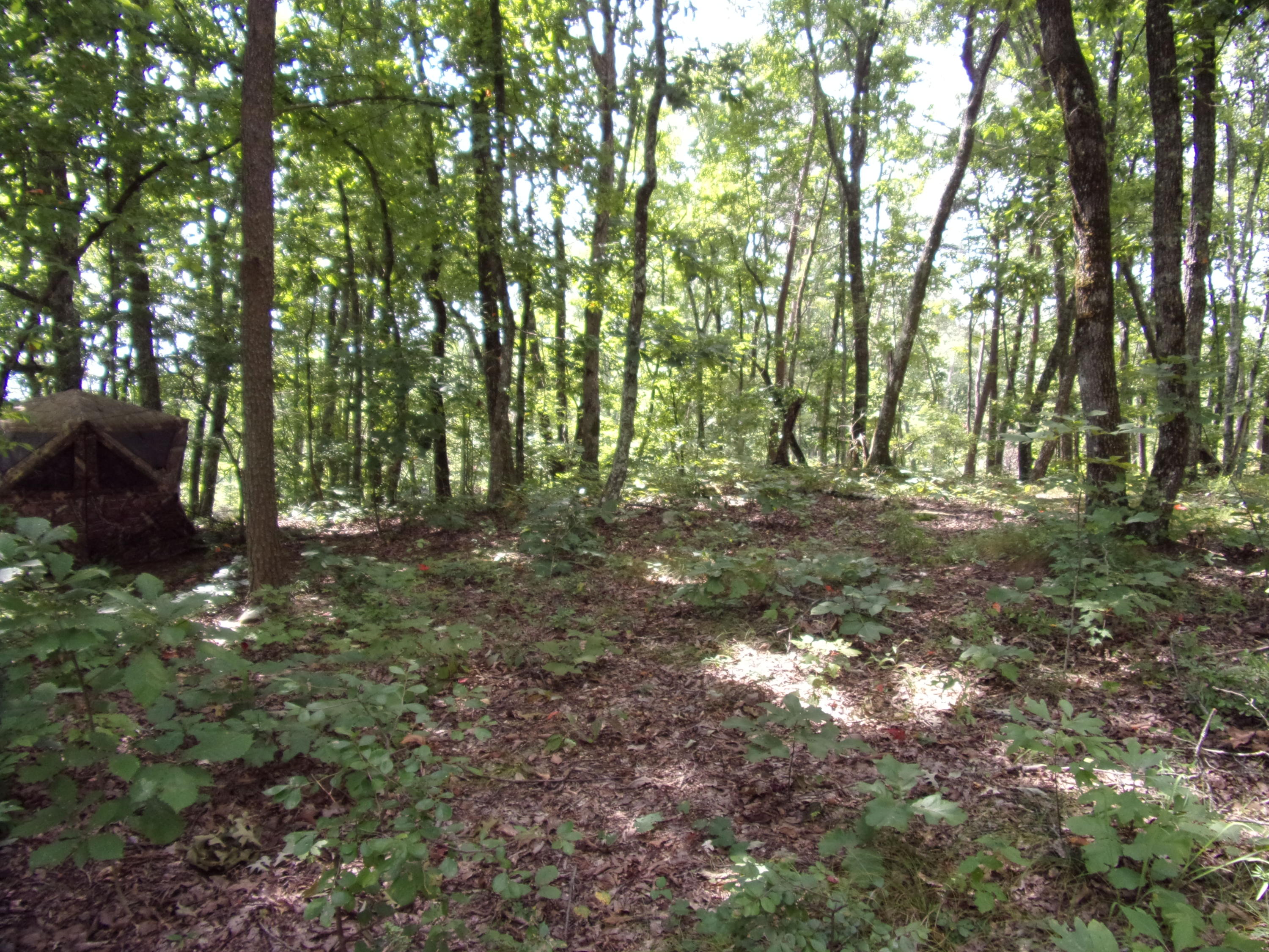 15 Overview Road Crossville, TN 38572 - Photo 44 of 44 101_1528