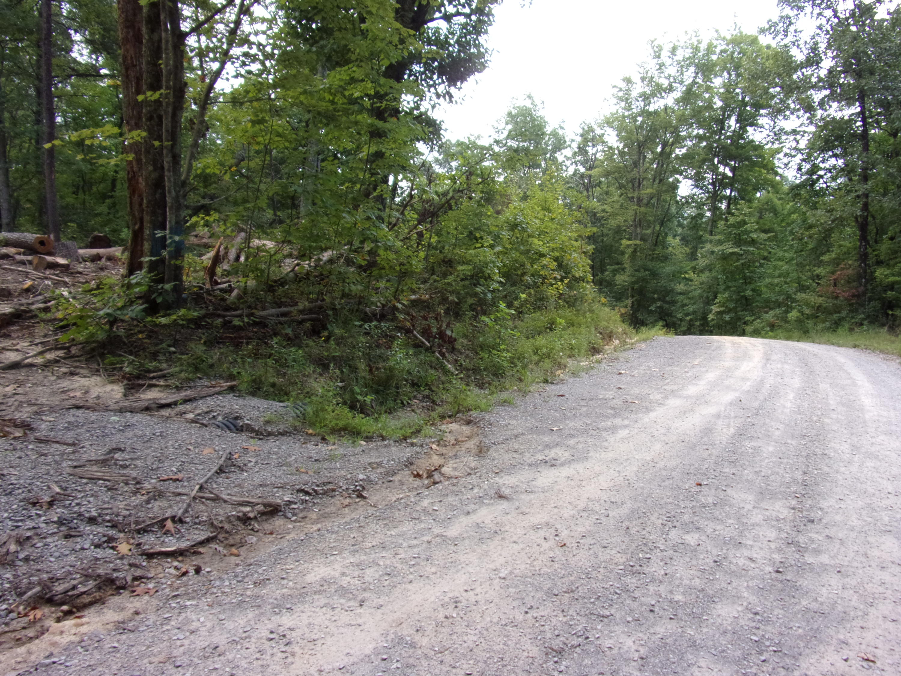 15 Overview Road Crossville, TN 38572 - Photo 9 of 44 101_1488