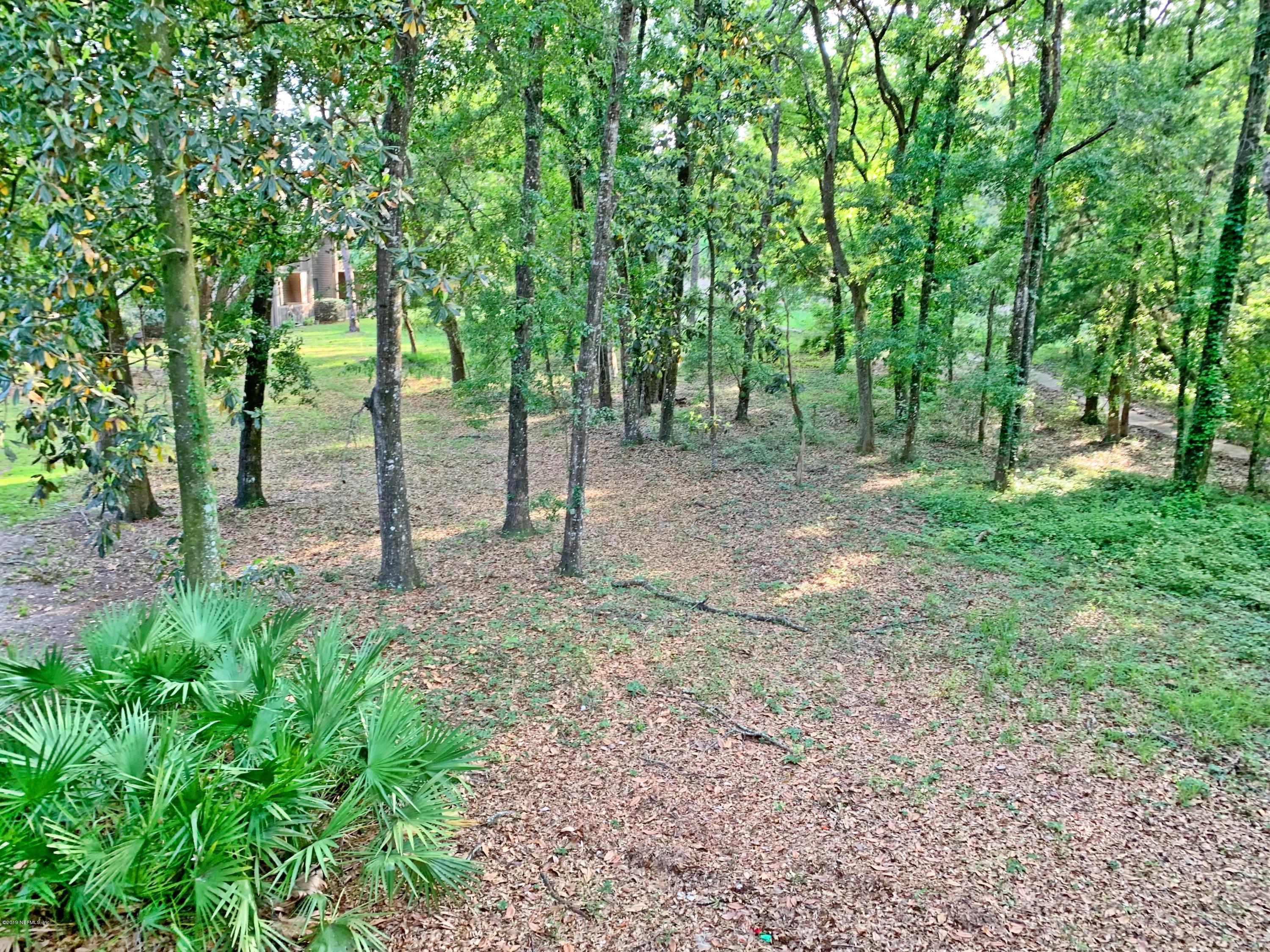 2930 Ravines Road, Unit 1226 Middleburg, FL 32068 - Photo 18 of 19 Back Nature View