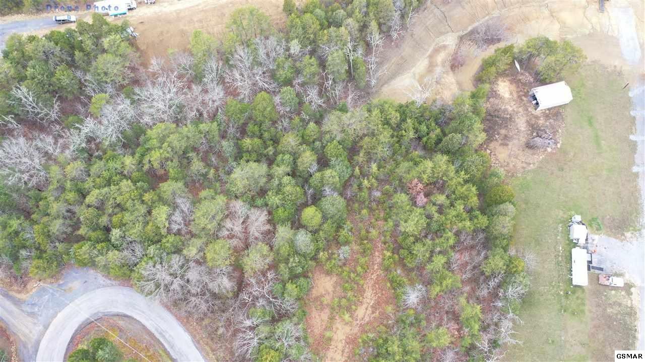 7 Bohanan Top Road Sevierville, TN 37876 - Photo 10 of 22 Gallery Image 10
