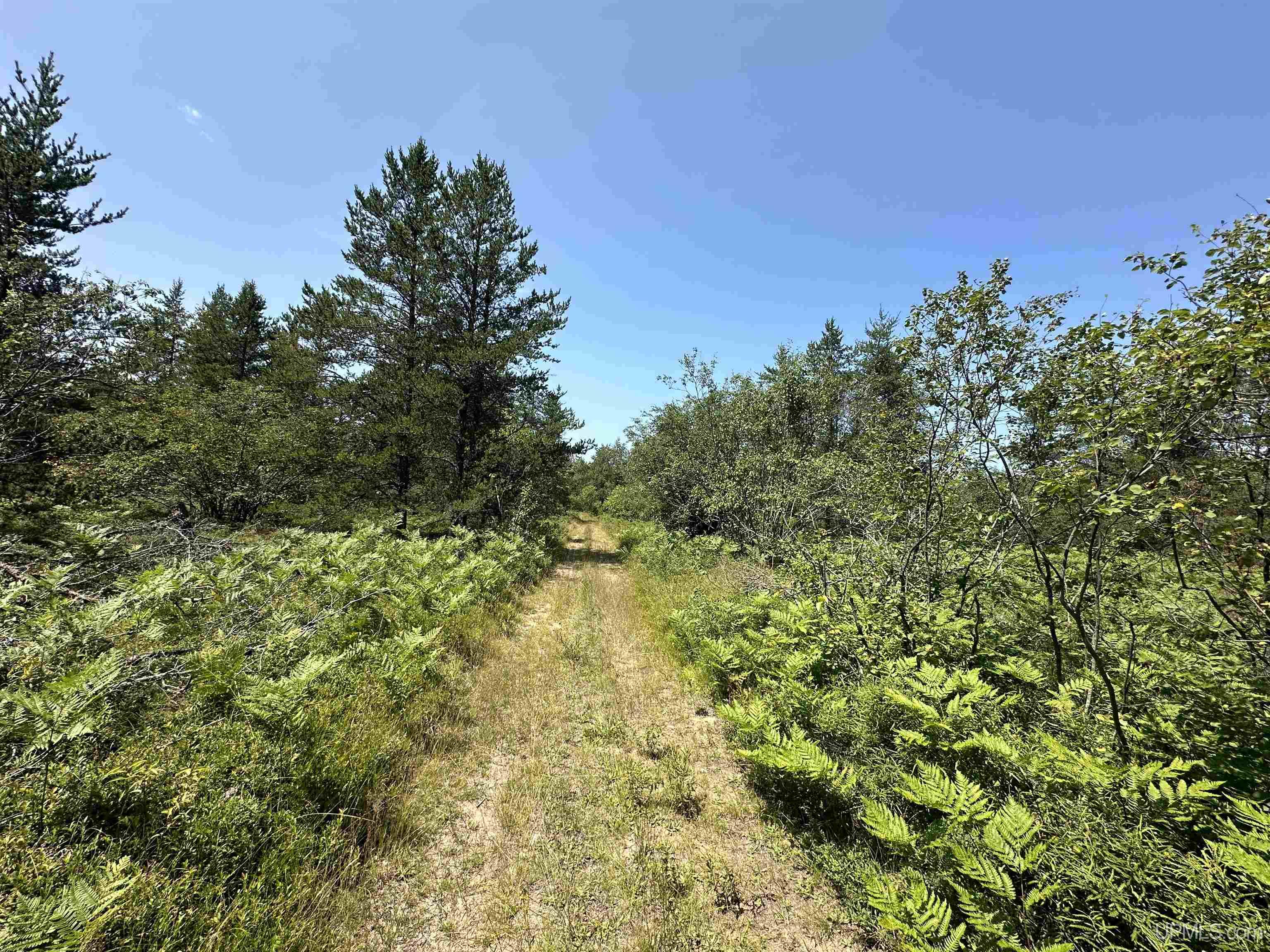 2020-2050 Co Road Little Lake, MI 49833 - Photo 26 of 39