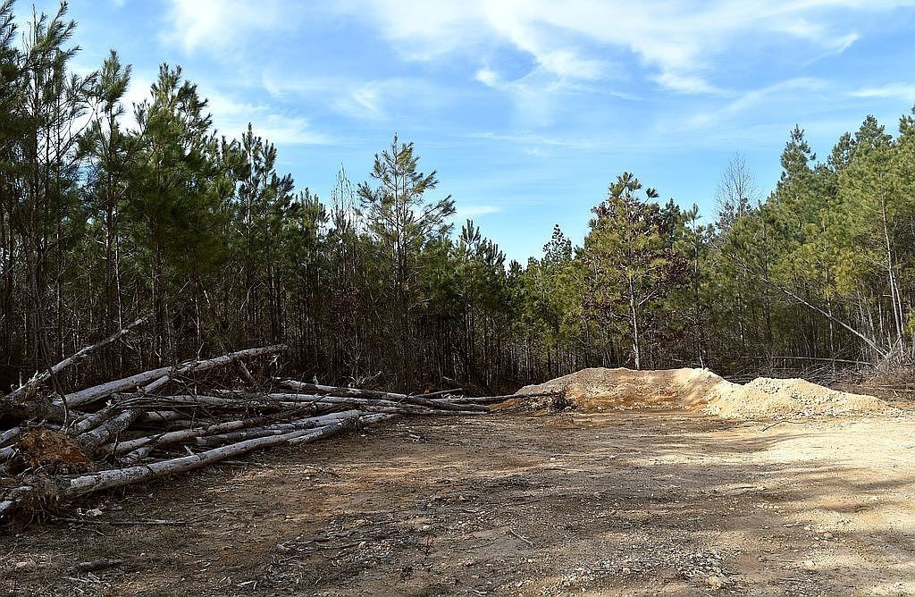 1661 Sassafras Stand Ridge Road Linden, TN 37096 - Photo 24 of 30 a view of a snow on the side of the road