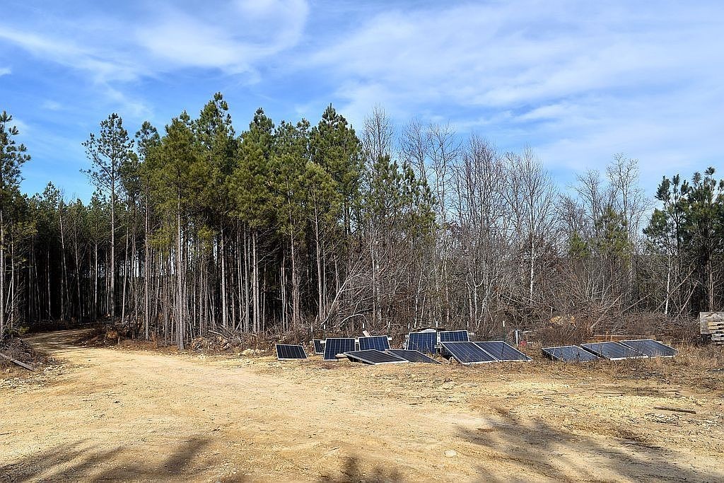 1661 Sassafras Stand Ridge Road Linden, TN 37096 - Photo 25 of 30 a view of a yard with trees in the background