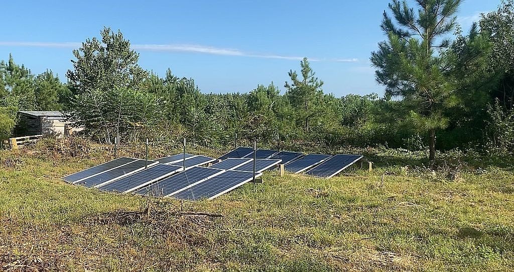 1661 Sassafras Stand Ridge Road Linden, TN 37096 - Photo 26 of 30 a view of a tennis ground with large trees