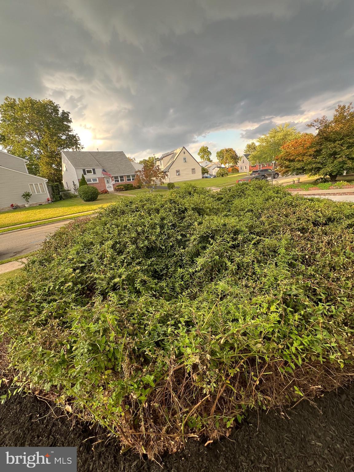 810 Quince Lane Secane, PA 19018 - Photo 14 of 44 a view of lake view