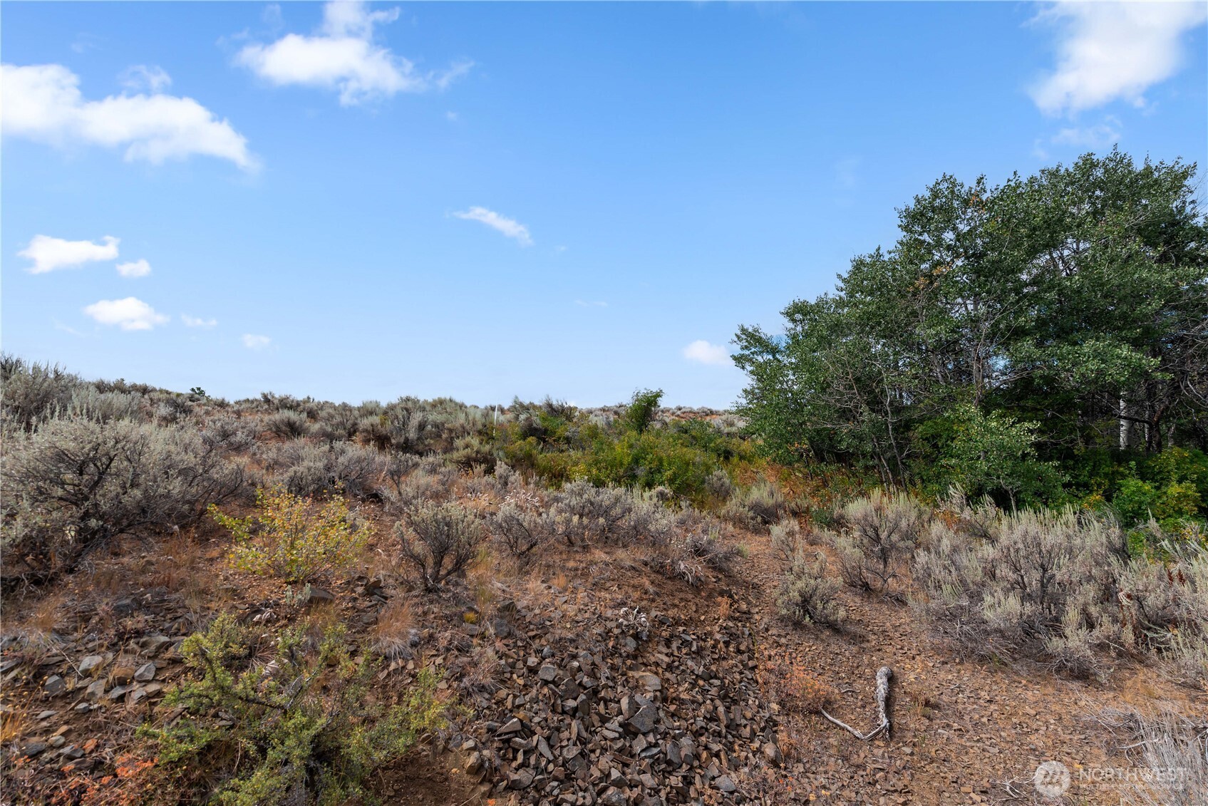 0 Husky Run Road East Wenatchee, WA 98802 - Photo 11 of 18 Gallery Image 11