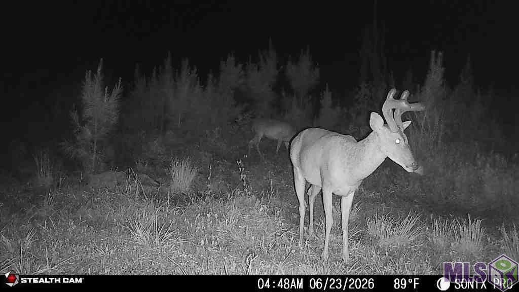 3320 Busy Corner Road Gloster, MS 39638 - Photo 26 of 34