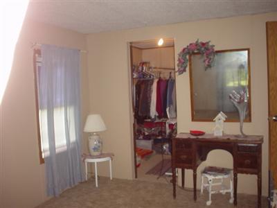 2447 Hayes Road Muir, MI 48860 - Photo 5 of 5 Additional Photo