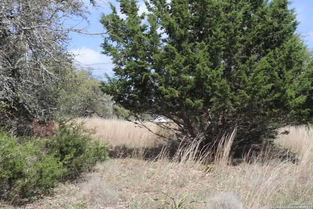 $47,000 | 105 Manuel Herrera, Blanco, TX 78606