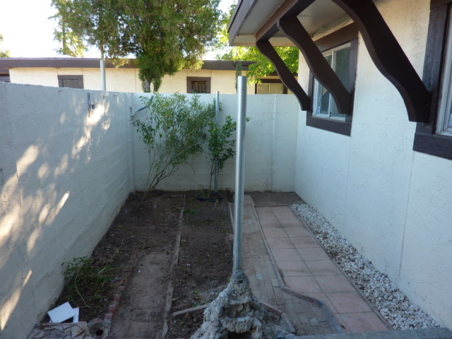 Front yard