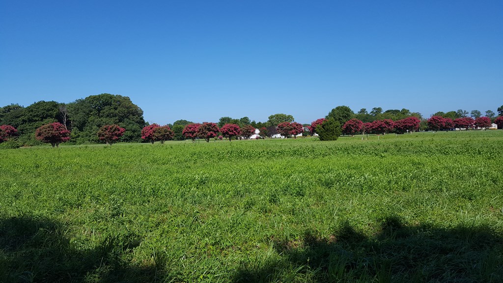 Lot 2 Clearview Road, Unit 2 Exmore, VA 23350 - Photo 8 of 12