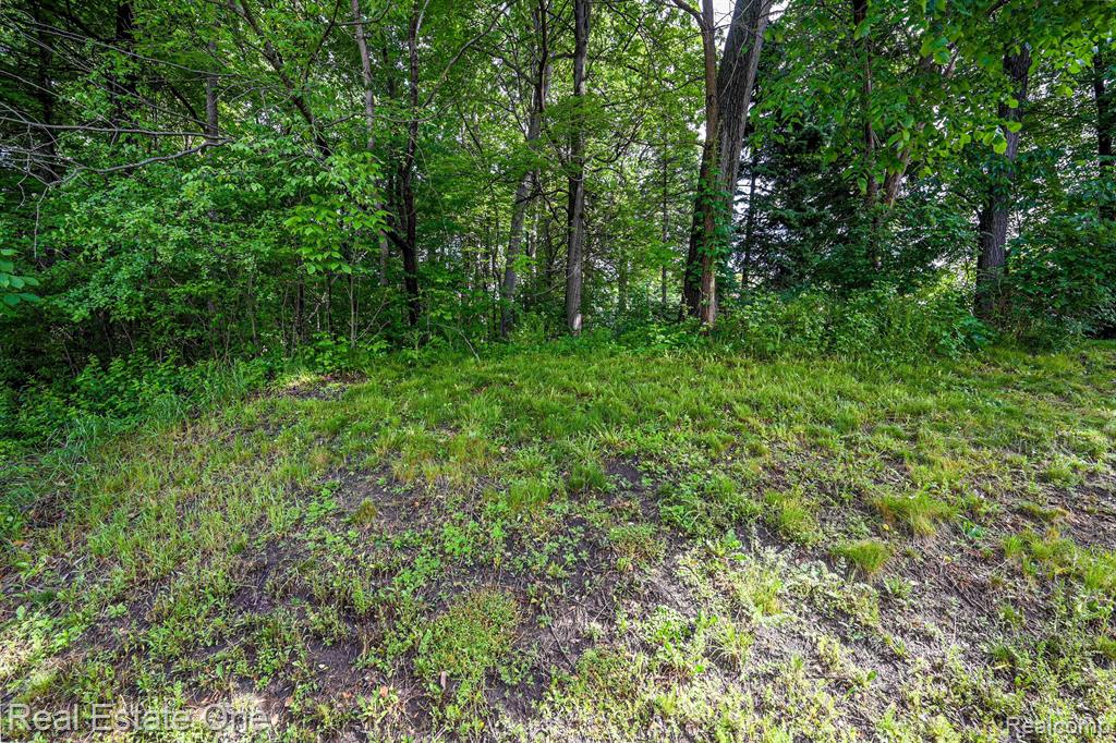 6612 Pond View Road Clarkston, MI 48346 - Photo 7 of 39