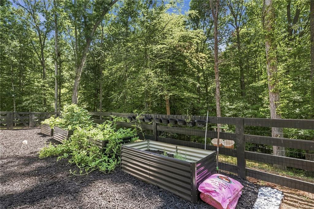 1684 Fairview Road Jasper, GA 30143 - Photo 46 of 46