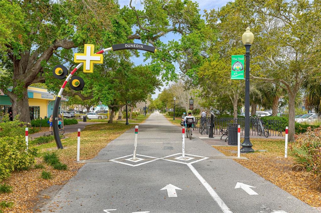200 Broadway Dunedin, FL 34698 - Photo 43 of 59 a view of a park with tree s