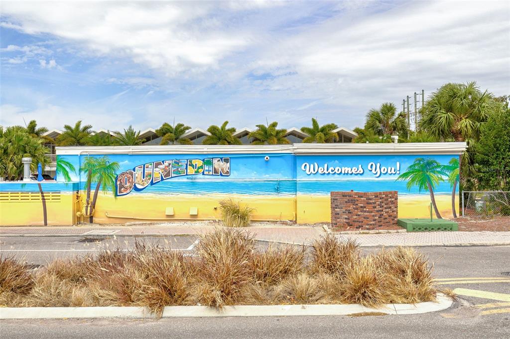 200 Broadway Dunedin, FL 34698 - Photo 53 of 59 a view of swimming pool with a garden and seating