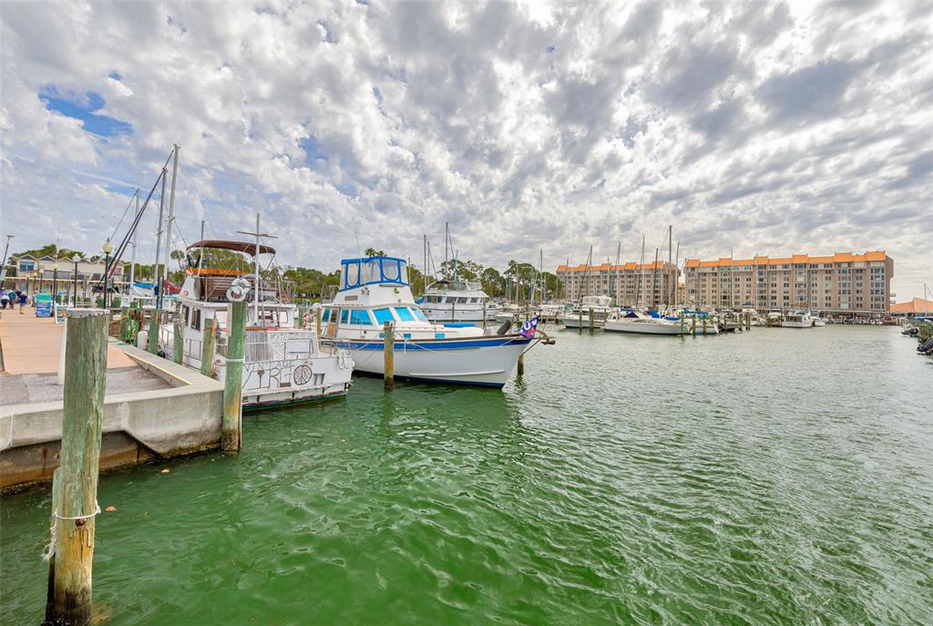 200 Broadway Dunedin, FL 34698 - Photo 57 of 59 a utility room with lots of trees