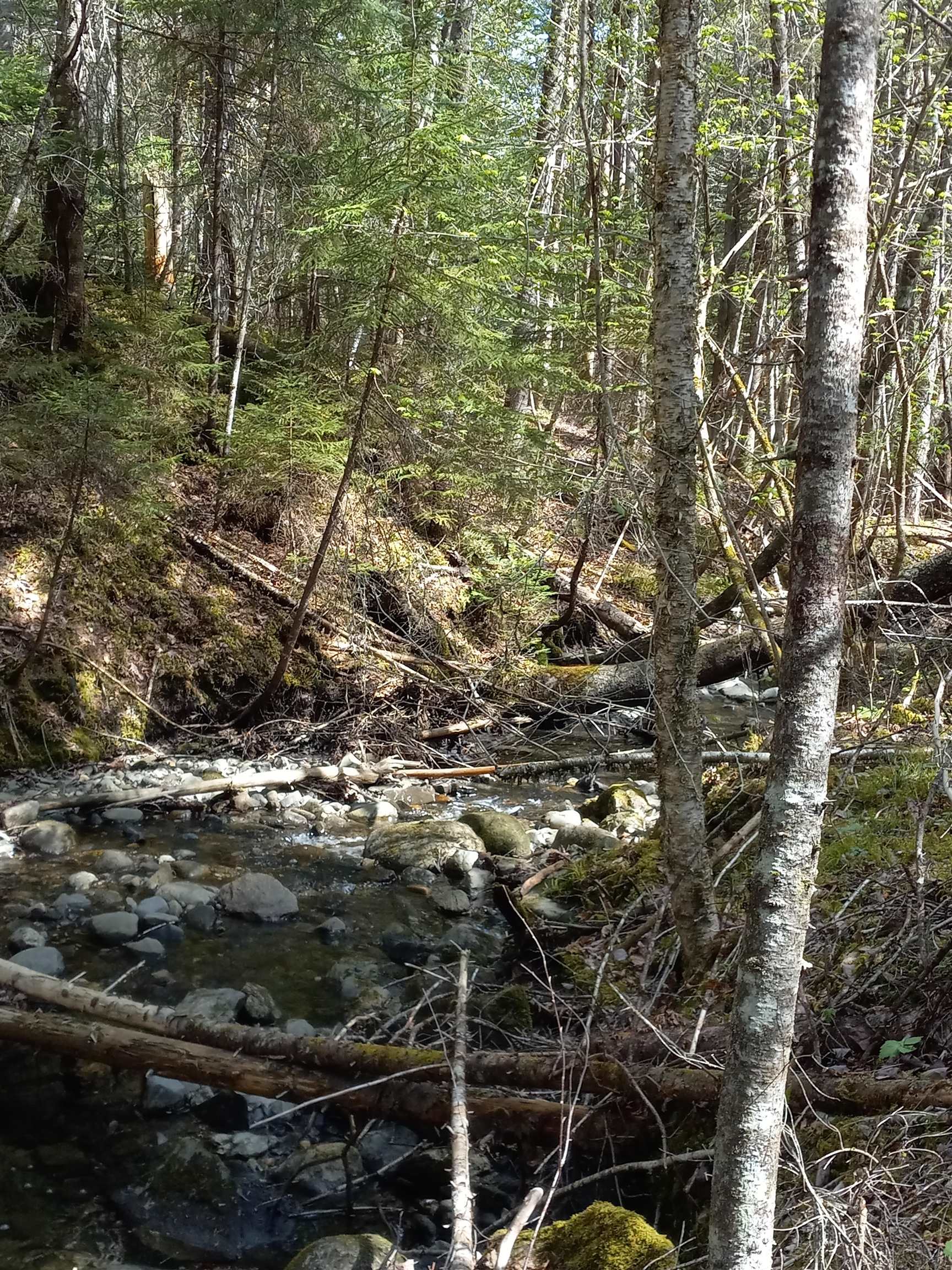 - Harrys Way Colebrook, NH 03576 - Photo 57 of 59