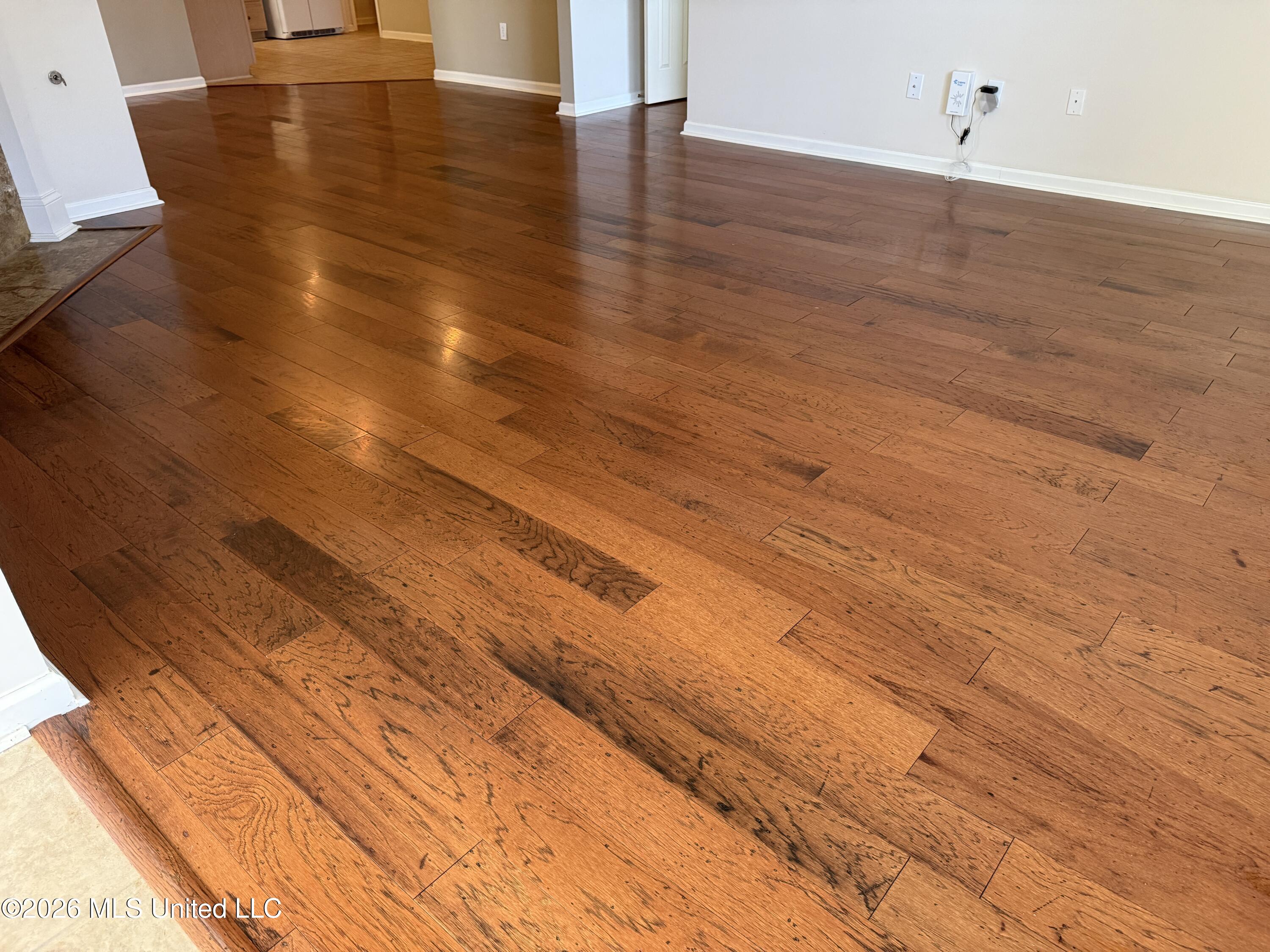 1003 Charmant Place Ridgeland, MS 39157 - Photo 14 of 52 IMG_7143