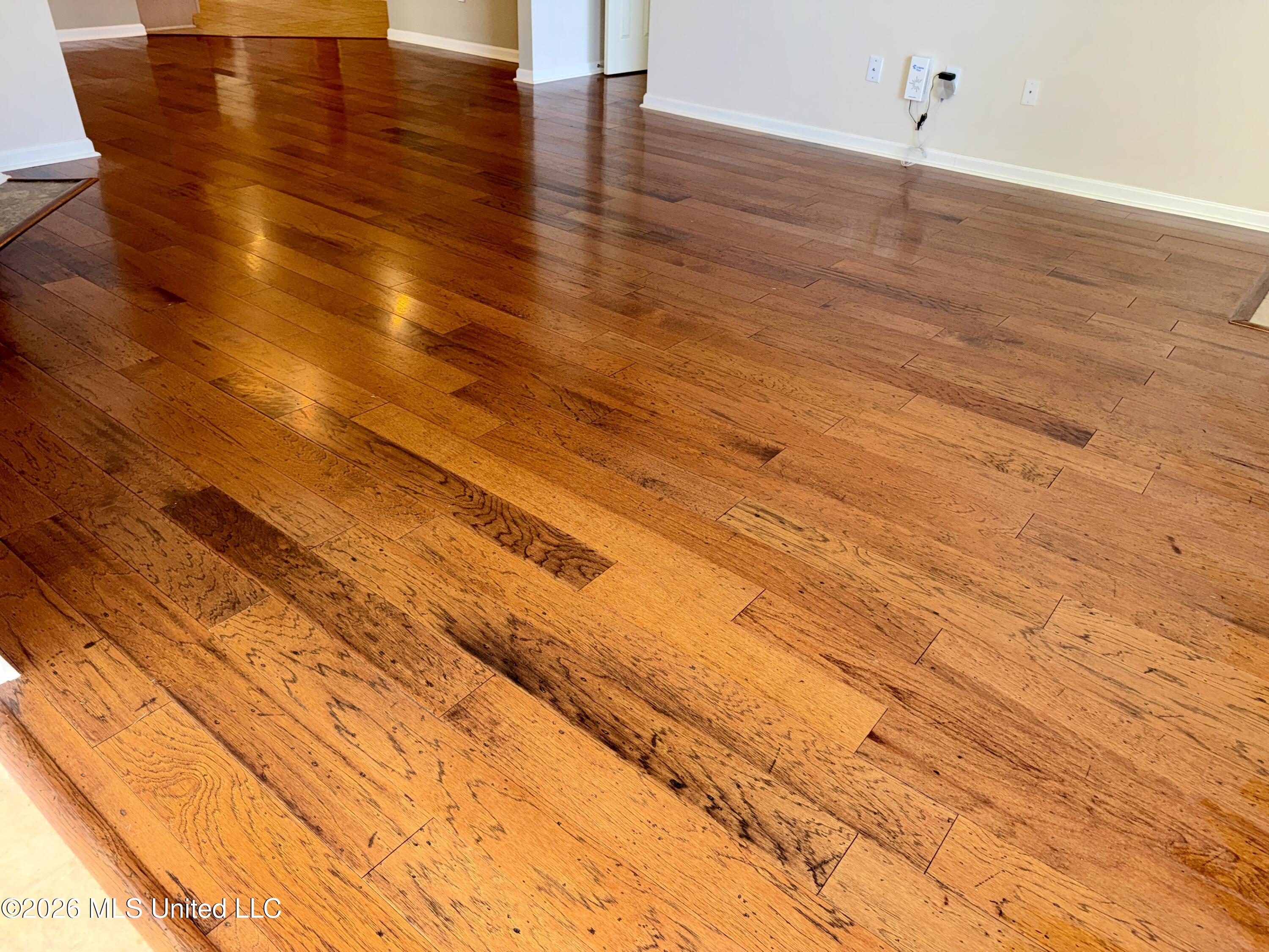 1003 Charmant Place Ridgeland, MS 39157 - Photo 29 of 52 IMG_E7142