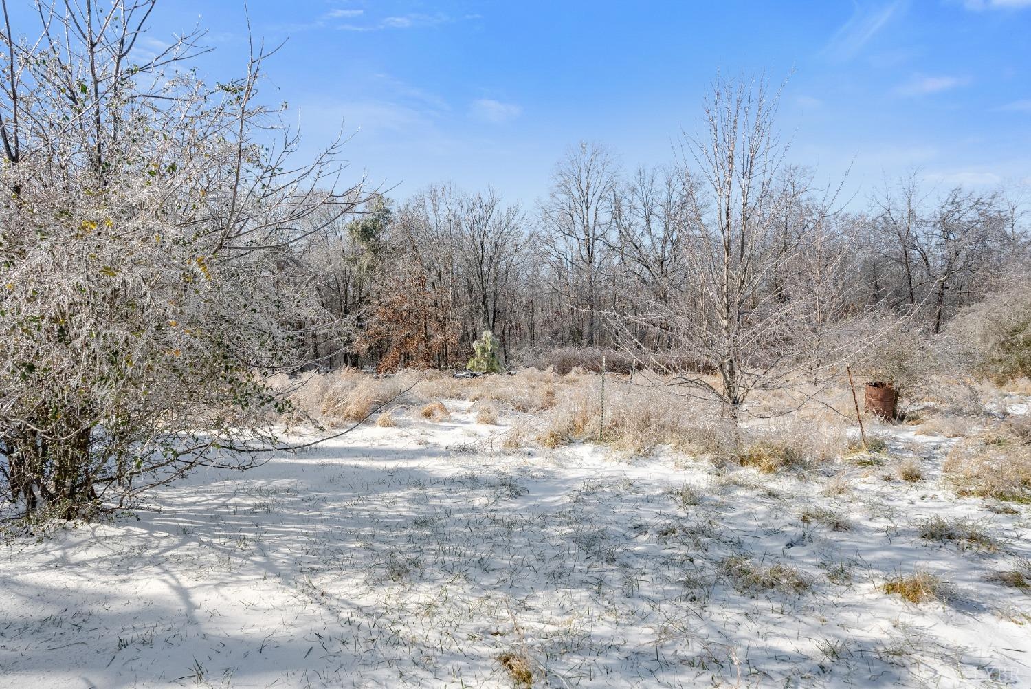 533 Patterson Street Appomattox, VA 24522 - Photo 29 of 30 Gallery Image 29