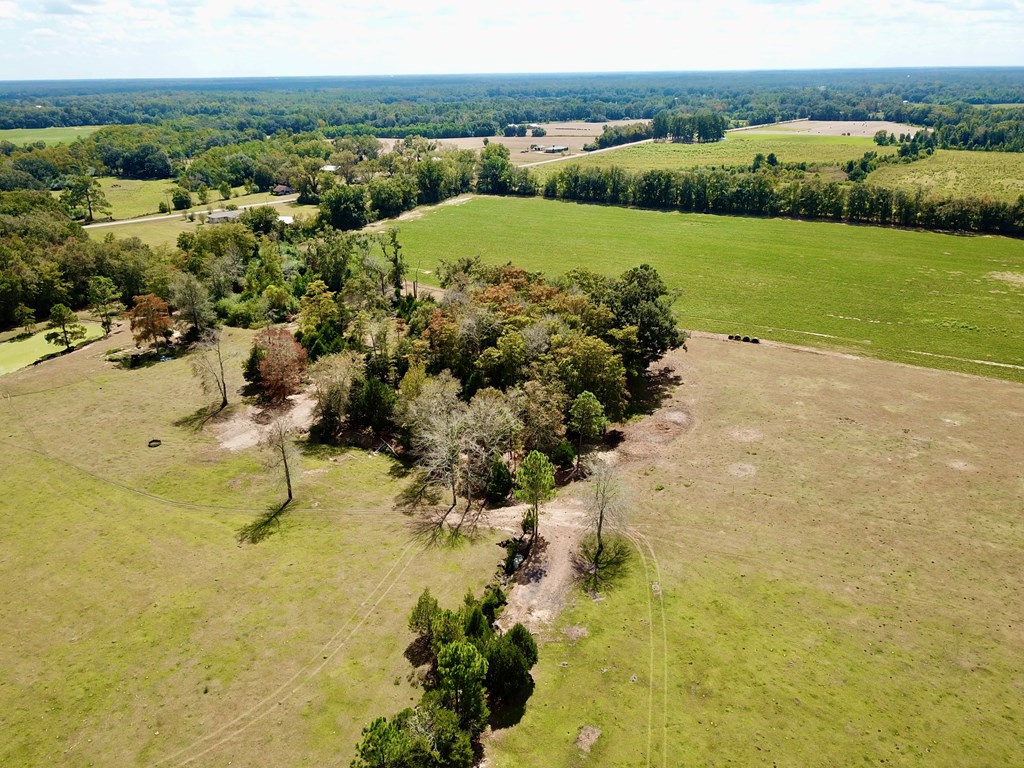 5.8-acres Nobles Road Cottonwood, AL 36320 - Photo 9 of 29