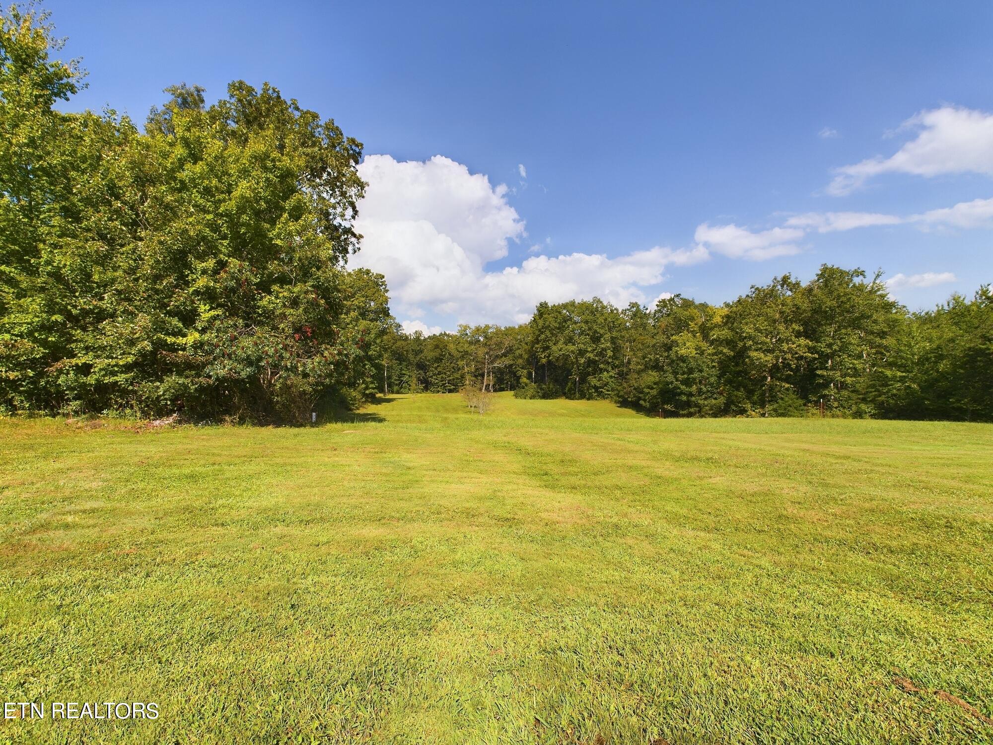 246 Catoosa Ridge Road Rockwood, TN 37854 - Photo 45 of 54 31