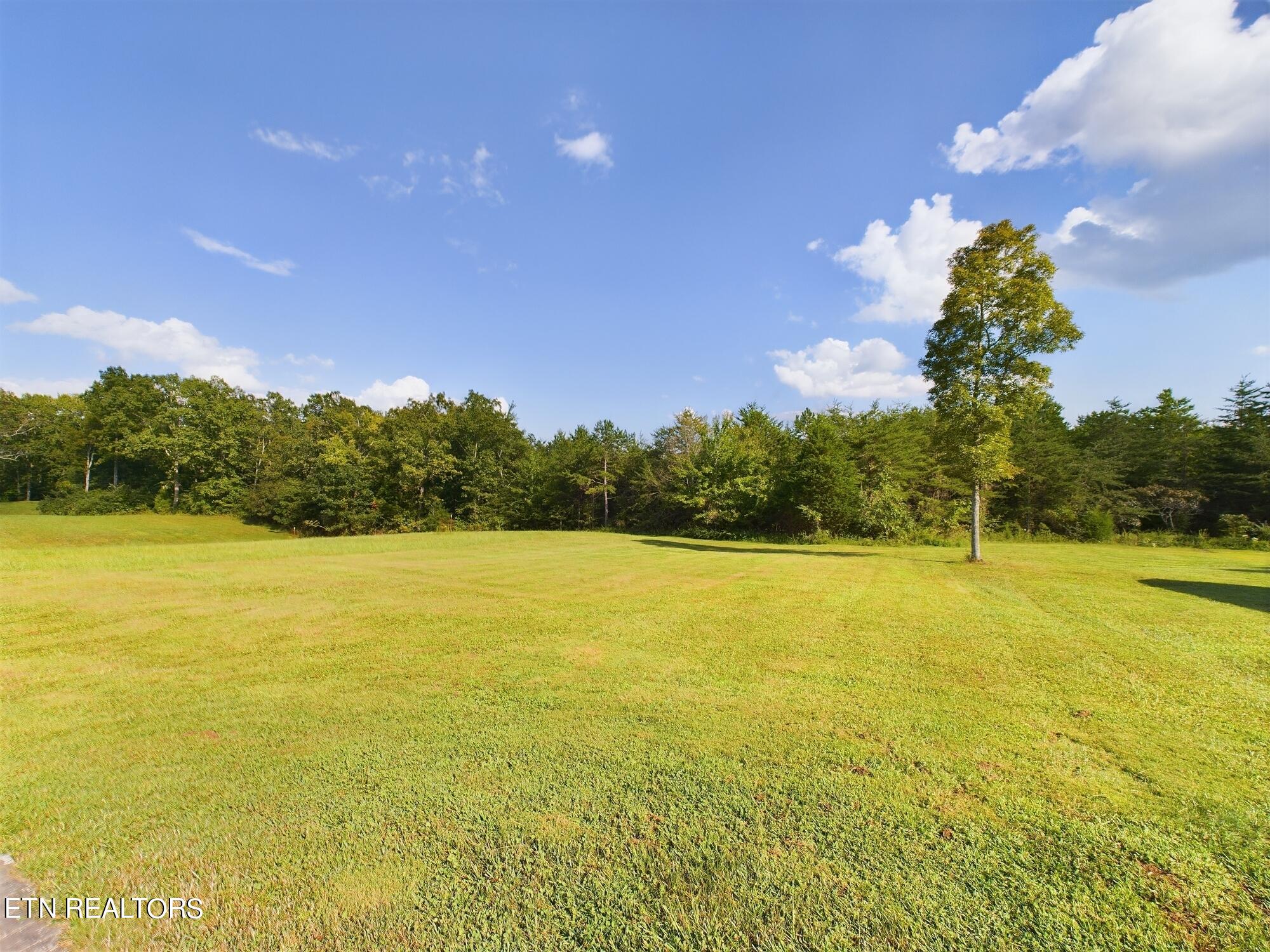 246 Catoosa Ridge Road Rockwood, TN 37854 - Photo 46 of 54 32