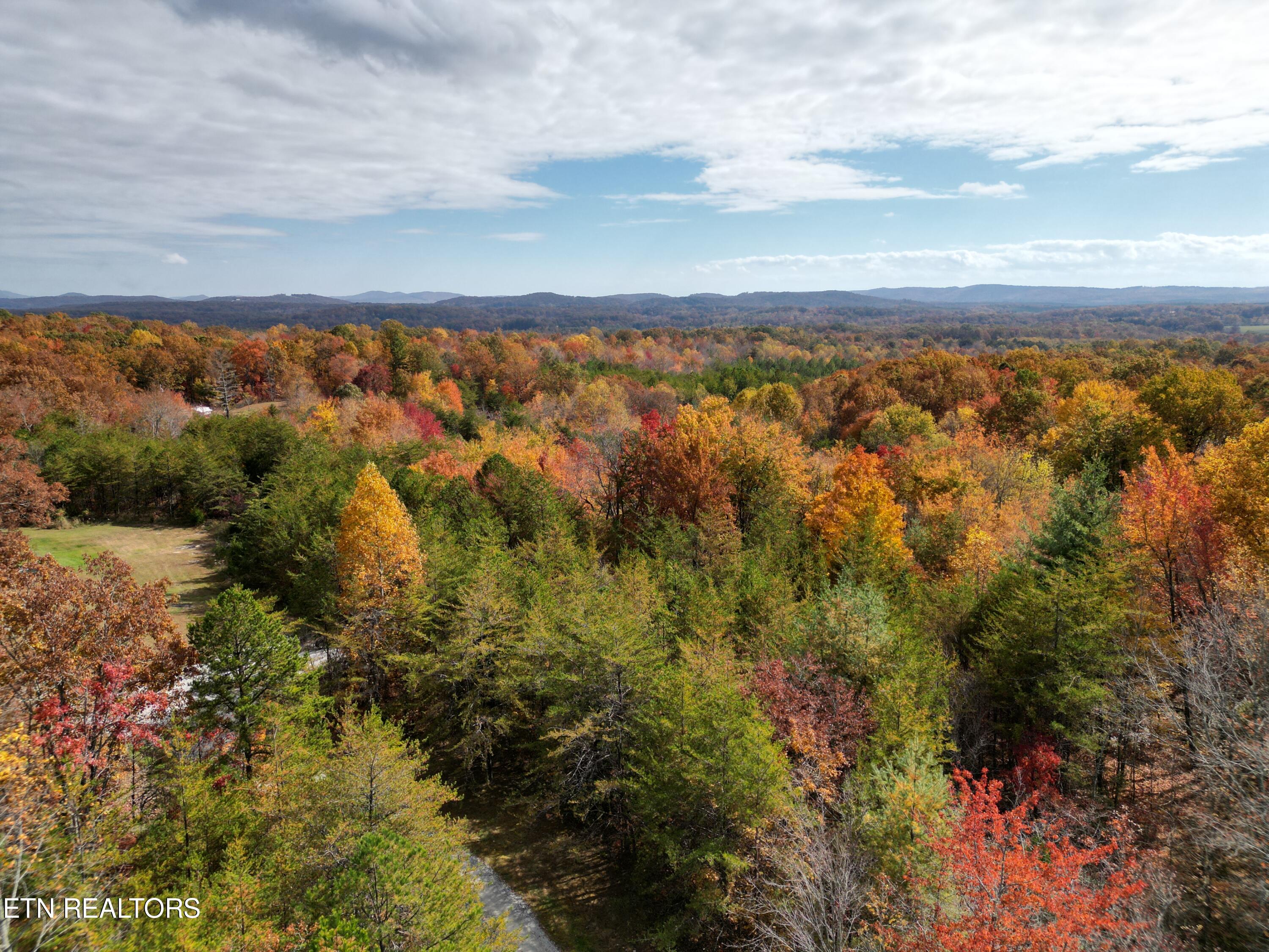 246 Catoosa Ridge Road Rockwood, TN 37854 - Photo 50 of 54 DJI_0056