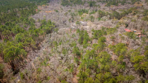 $698,000 | 1717 Highway 45, McClellanville, SC 29458