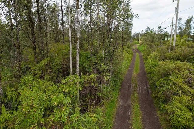 $60,500 | 4658 Road 7 (opeapea) Mountain View, Pahoa, HI 96778