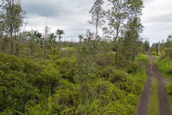 $60,500 | 4658 Road 7 (opeapea) Mountain View, Pahoa, HI 96778