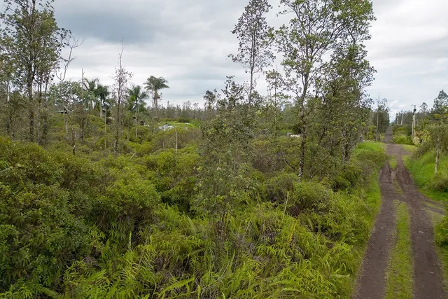 $60,500 | 4658 Road 7 (opeapea) Mountain View, Pahoa, HI 96778