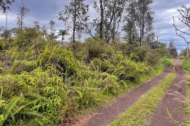 $60,500 | 4658 Road 7 (opeapea) Mountain View, Pahoa, HI 96778