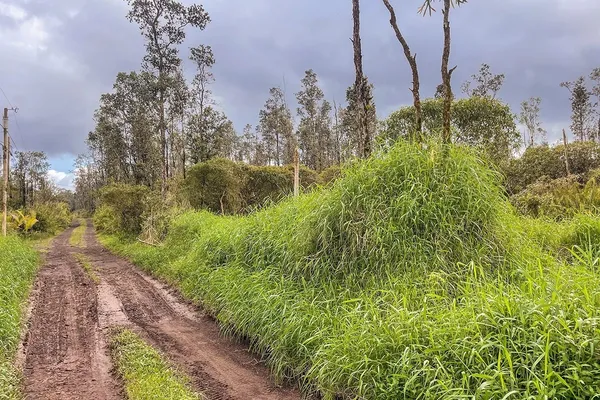 $60,500 | 4658 Road 7 (opeapea) Mountain View, Pahoa, HI 96778