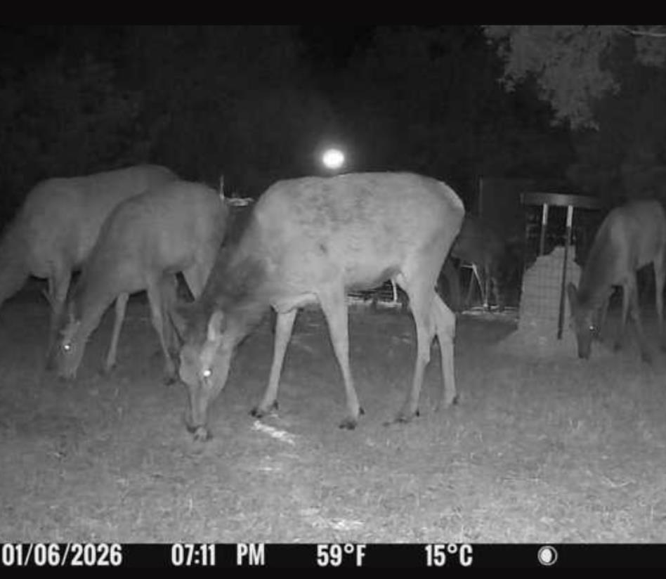 180 Bee Hive Road Hunt, TX 78024 - Photo 66 of 67