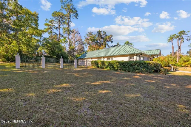 a view of a big yard with plants and large trees