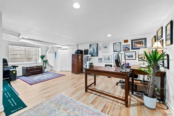 a living room with furniture and a potted plant