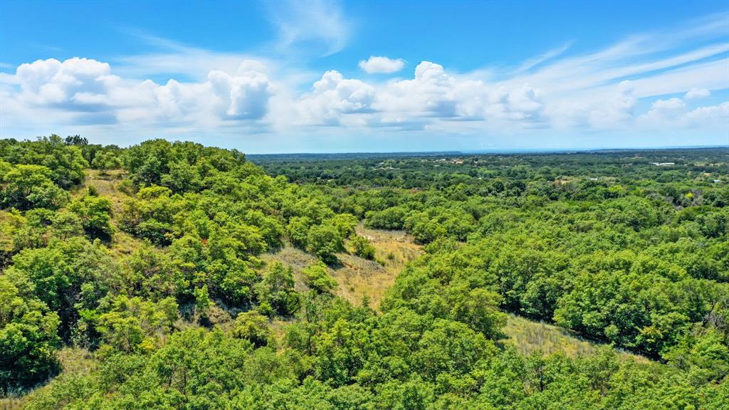 395 Pepper Lane Weatherford, TX 76088 - Photo 17 of 24 Bird's eye view of a heavily wooded area