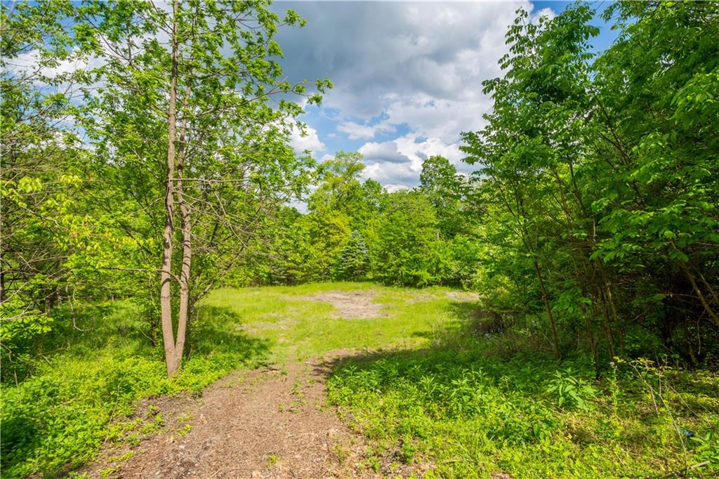 4266 Battle Ridge Road McDonald, PA 15057 - Photo 9 of 23 a view of a yard with an trees