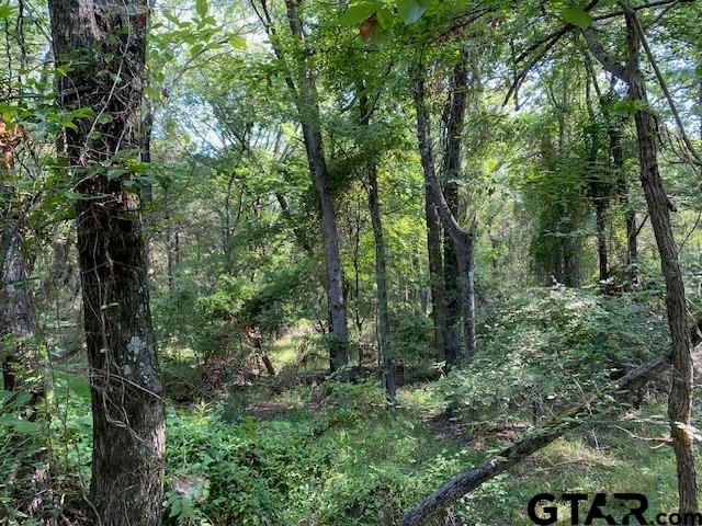 3 A Cr Athens, TX 75751 - Photo 1 of 7 a view of a forest with trees