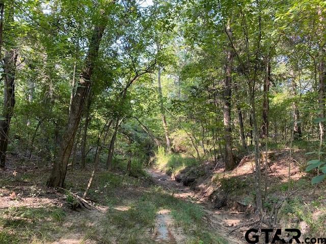 3 A Cr Athens, TX 75751 - Photo 2 of 7 a view of a forest filled with trees