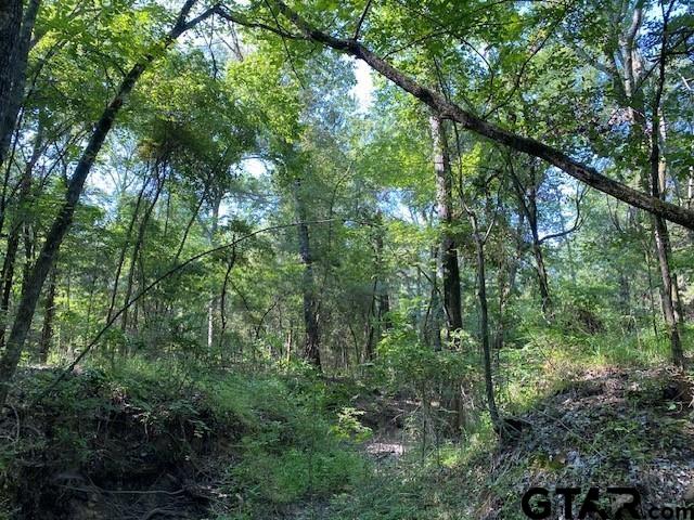 3 A Cr Athens, TX 75751 - Photo 3 of 7 a view of forest