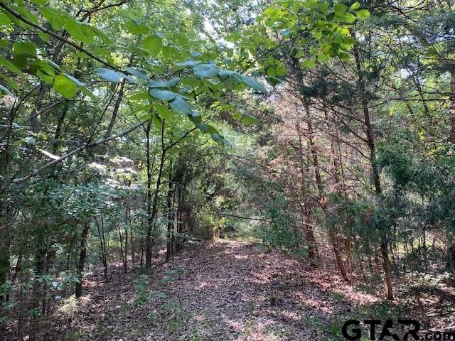 3 A Cr Athens, TX 75751 - Photo 6 of 7 a view of a forest
