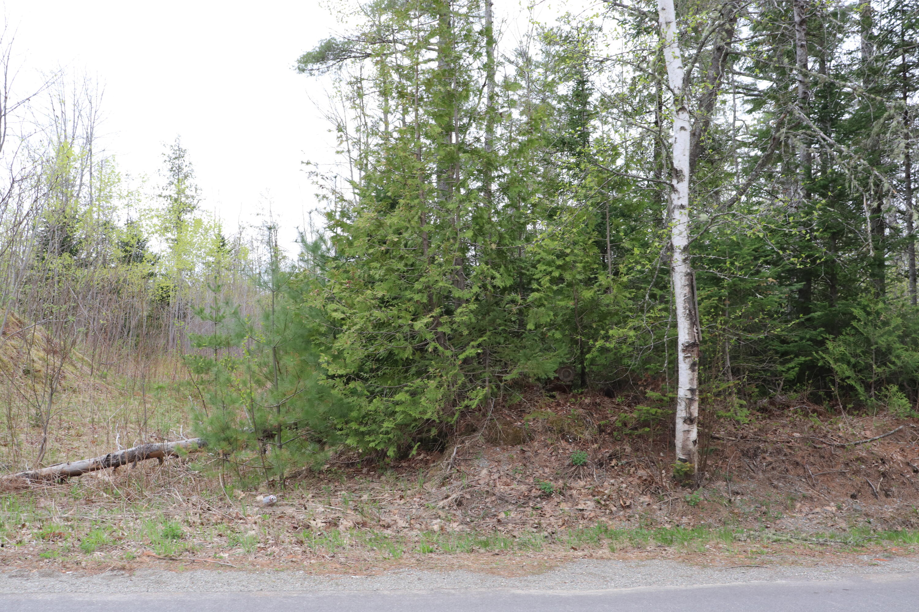 196 Shaw Hill Road Hampden, ME 04444 - Photo 1 of 2 Lot 2a 195 Shaw hill