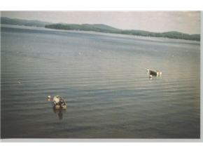 321 Spruce Street Newport, VT 05855 - Photo 5 of 5 Gallery Image 5