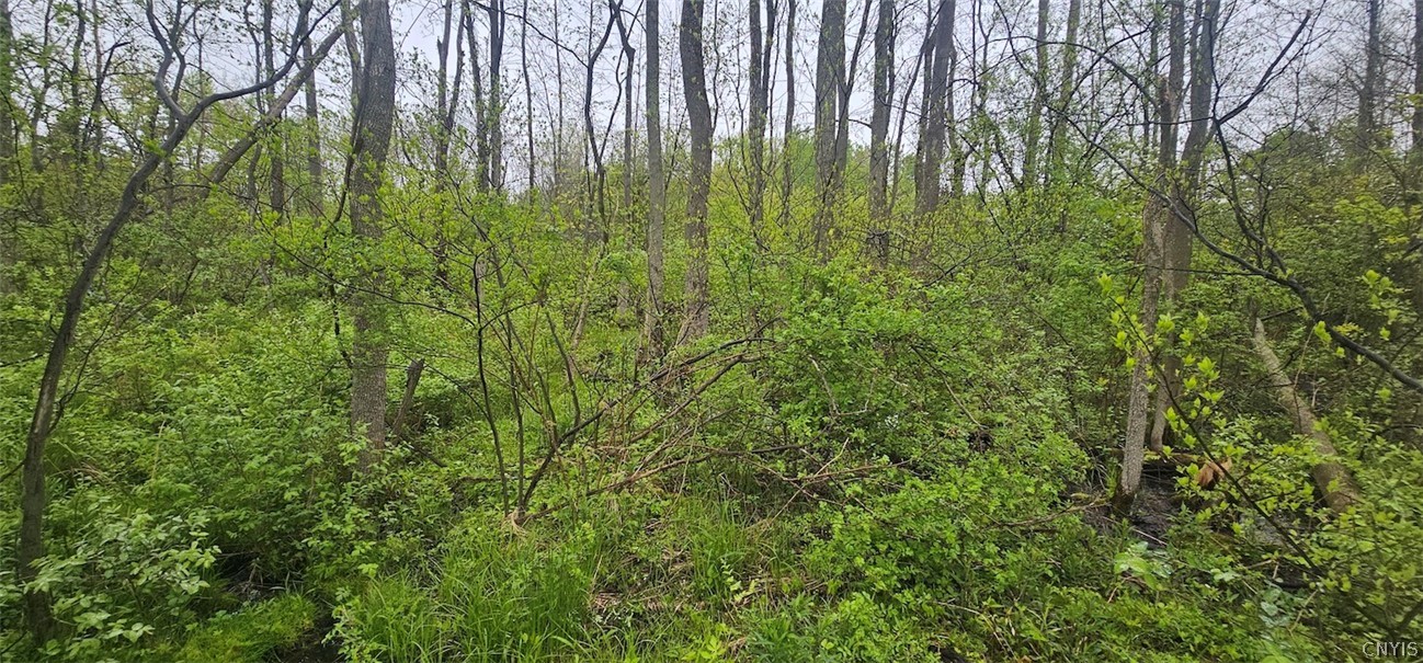 Rotterdam Road Sodus, NY 14551 - Photo 15 of 25