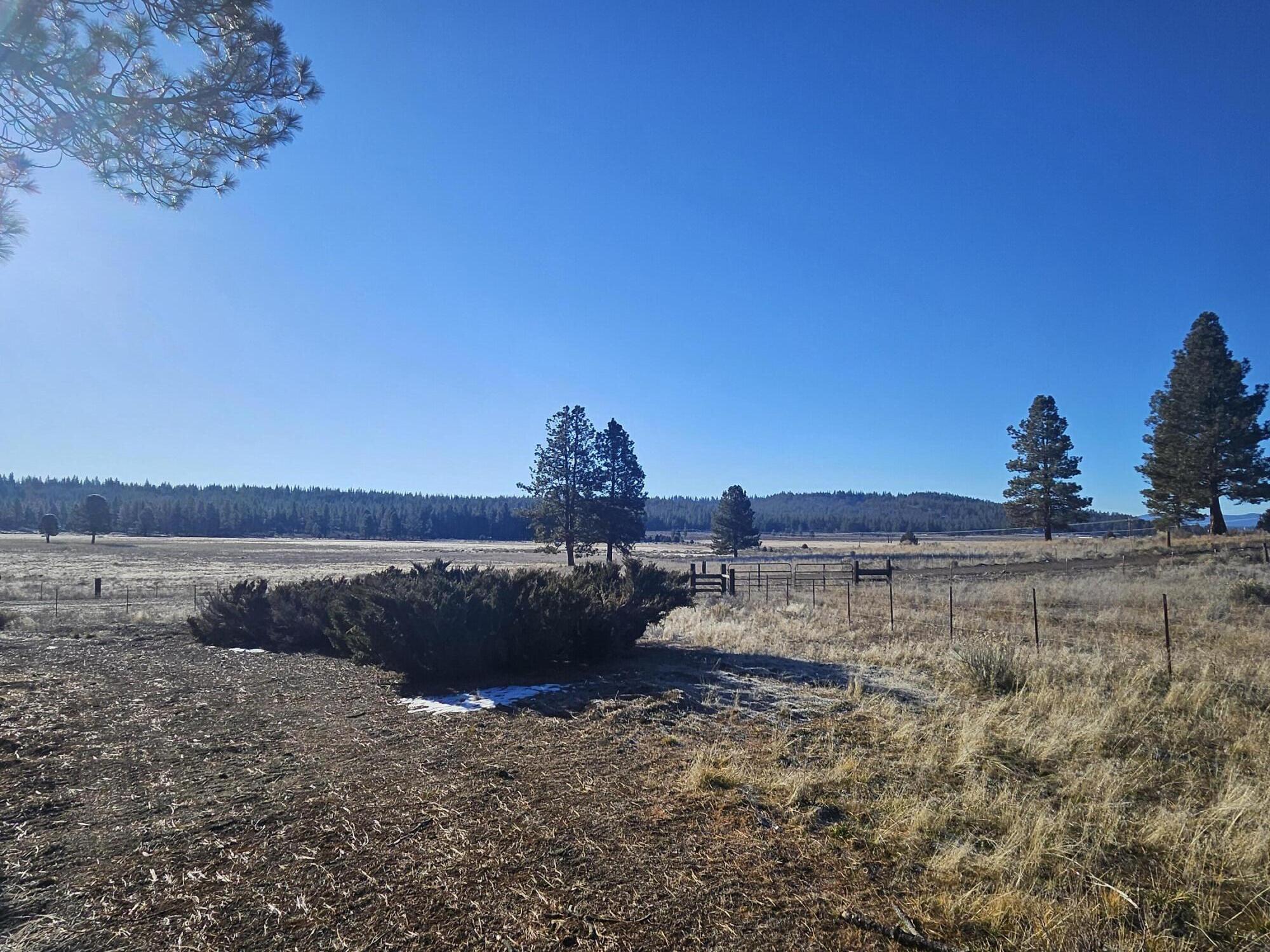 31747 Godowa Springs Road Beatty, OR 97621 - Photo 22 of 23 20260117_094437