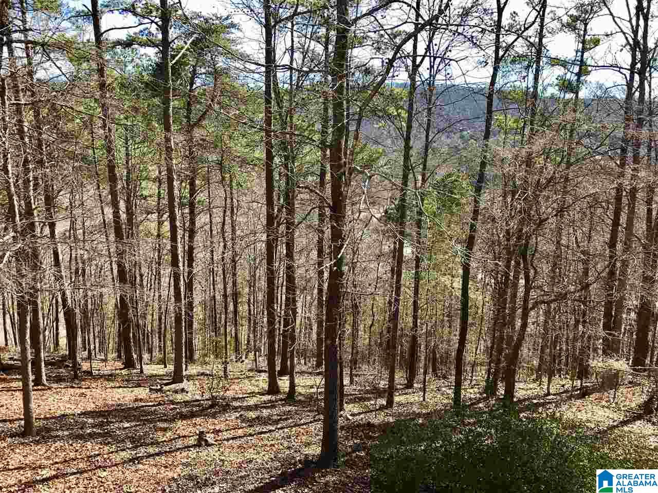 5016 Eagle Crest Road Birmingham, AL 35242 - Photo 42 of 42